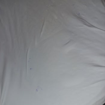 Ariel Leke Çıkarıcı Kullandım, Tişörtümde Yeni Mor Lekeler Oluştu