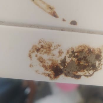 Vestel Buzdolabında Erken Paslanma Ve Yetersiz Servis Çözümü