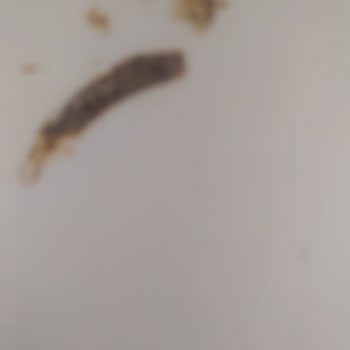 Vestel Buzdolabında Erken Paslanma Ve Yetersiz Servis Çözümü