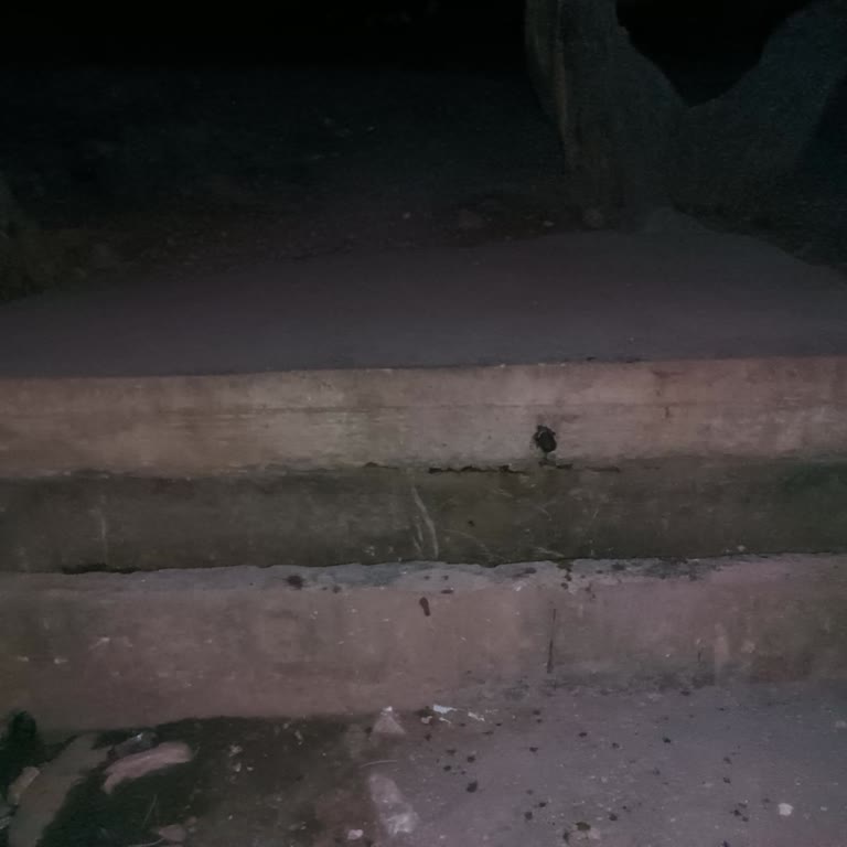 Çamlıyayla'da Ücretsiz Çeşmeye 1,5 Yıldır Su Yok: Belediye Duyarsız Kaldı