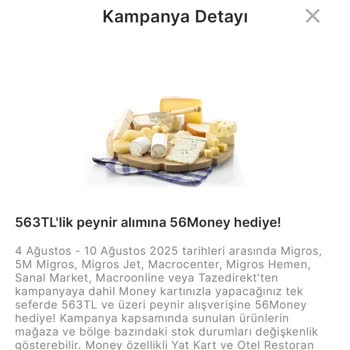 Money Puanlarım Yüklenmedi, Müşteri Hizmetlerinden Çözüm Alamadım