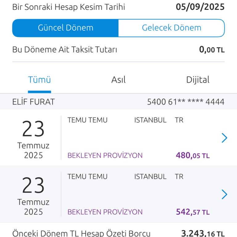 Temu'dan İptal Edilen Siparişlerimin İadesi Yapılmıyor, Müşteri Hizmetleri Oyalıyor