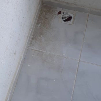 Eleman Yönlendir Temizlik Hizmetinde Eksiklik Ve Mağduriyet