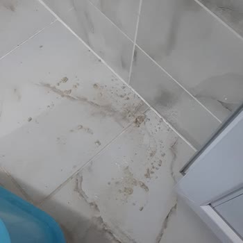 Eleman Yönlendir Temizlik Hizmetinde Eksiklik Ve Mağduriyet