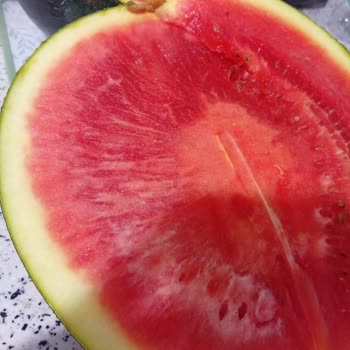 Aldığım Karpuz Çürük Çıktı Turuncu Market Güvenimi Sarstı