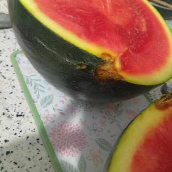 Aldığım Karpuz Çürük Çıktı Turuncu Market Güvenimi Sarstı