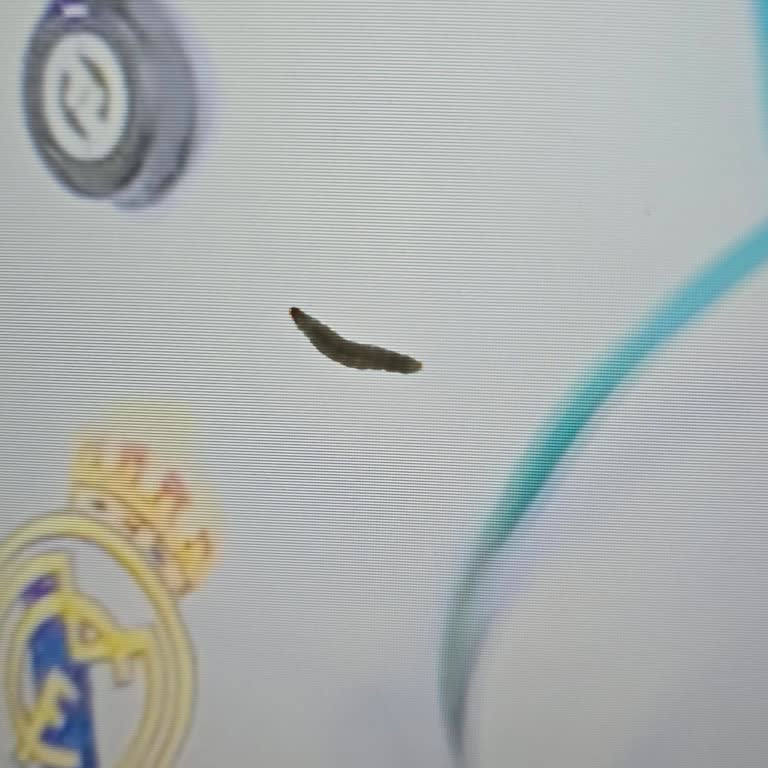 Televizyon Ekranında Hareketli Kurtçuk Sorunu Ve Garanti Talebi