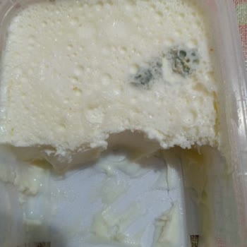 Taze Alınan Kaymak Ertesi Gün Küflendi, İade Talebim Reddedildi