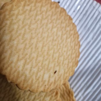 Aldığım Eticin Ürününün İçinden Böcek Çıktı, Sağlığım Tehlikeye Girdi