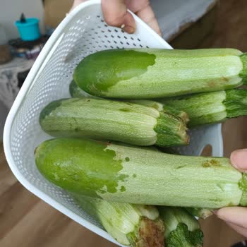 11 Aydır Çözülemeyen Buzdolabı Sorunu, Kalıcı Çözüm Bekliyoruz!