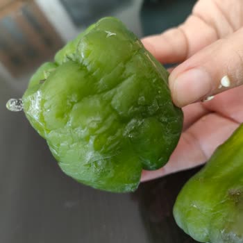 11 Aydır Çözülemeyen Buzdolabı Sorunu, Kalıcı Çözüm Bekliyoruz!