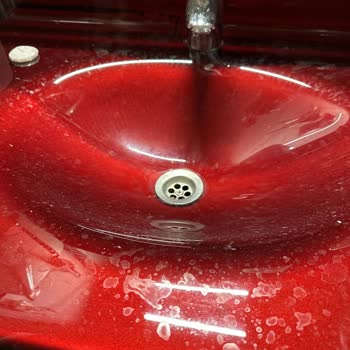 Jolly Tur Balkan Turunda Hijyen Eksikliği Ve Çözüm Sunulmayan Mağduriyet