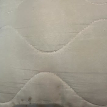 Jolly Tur Balkan Turunda Hijyen Eksikliği Ve Çözüm Sunulmayan Mağduriyet