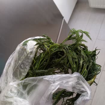 Çürük Ürün Ve İlgisiz Personel Sorunu