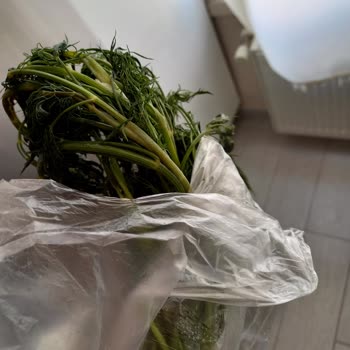 Çürük Ürün Ve İlgisiz Personel Sorunu