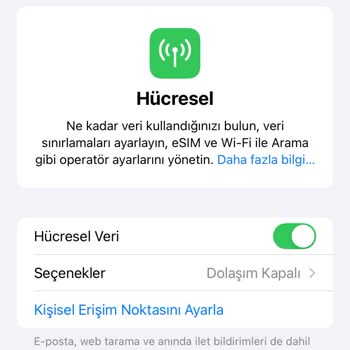 İos 18 Güncellemesi Sonrası İphone 11'de Şebeke Ve Hücresel Veri Sorunu