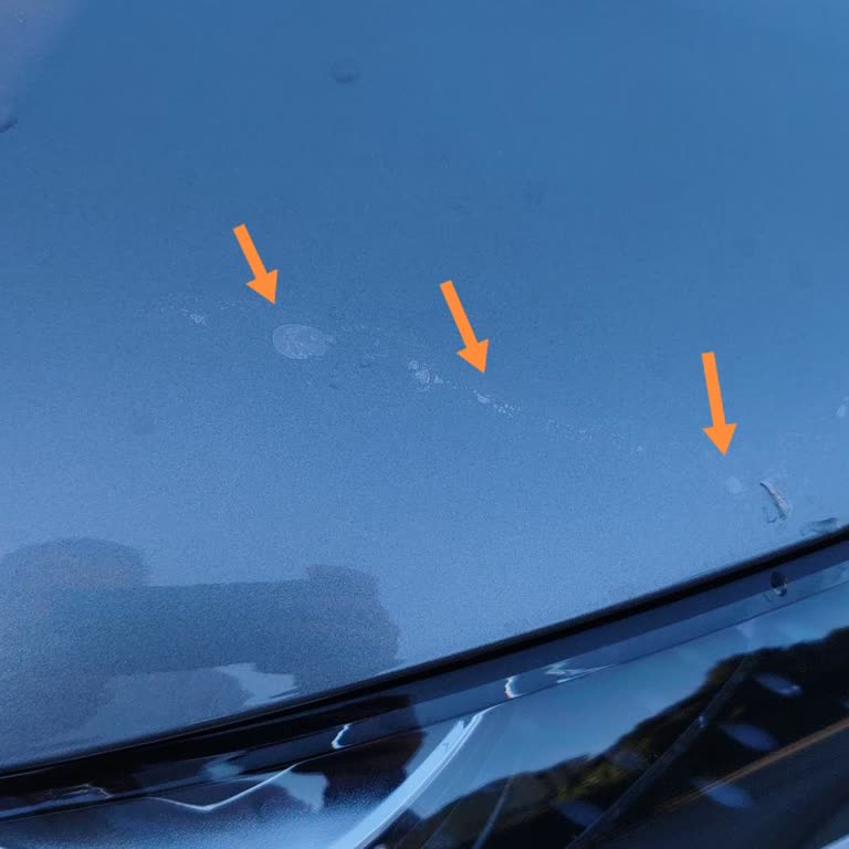 BYD Seal U Araçta PPF Kaplama Garanti Kapsamı Dışında Bırakıldı