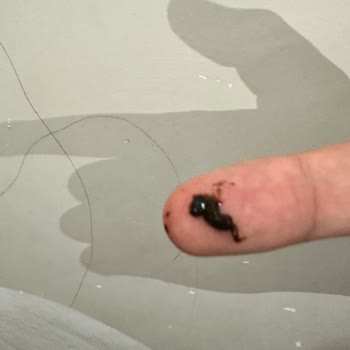 Cola Turka Şişesinde Yabancı Maddeyle Karşılaştım