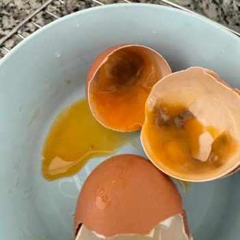 Organik Yumurta Aldım, Küflü Çıktı: Sağlığım Tehlikeye Girdi Ve Mağduriyet Yaşadım