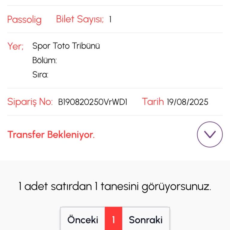 Biletalsat.com Satın Alınan Maç Bileti Passo Hesabına Aktarılmadı, Destek Sağlanmıyor!