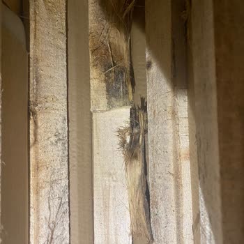 Şahinler Mobilya (Bergama) Mağduriyeti