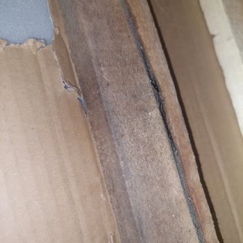 Şahinler Mobilya (Bergama) Mağduriyeti