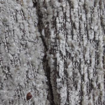 Şahinler Mobilya (Bergama) Mağduriyeti