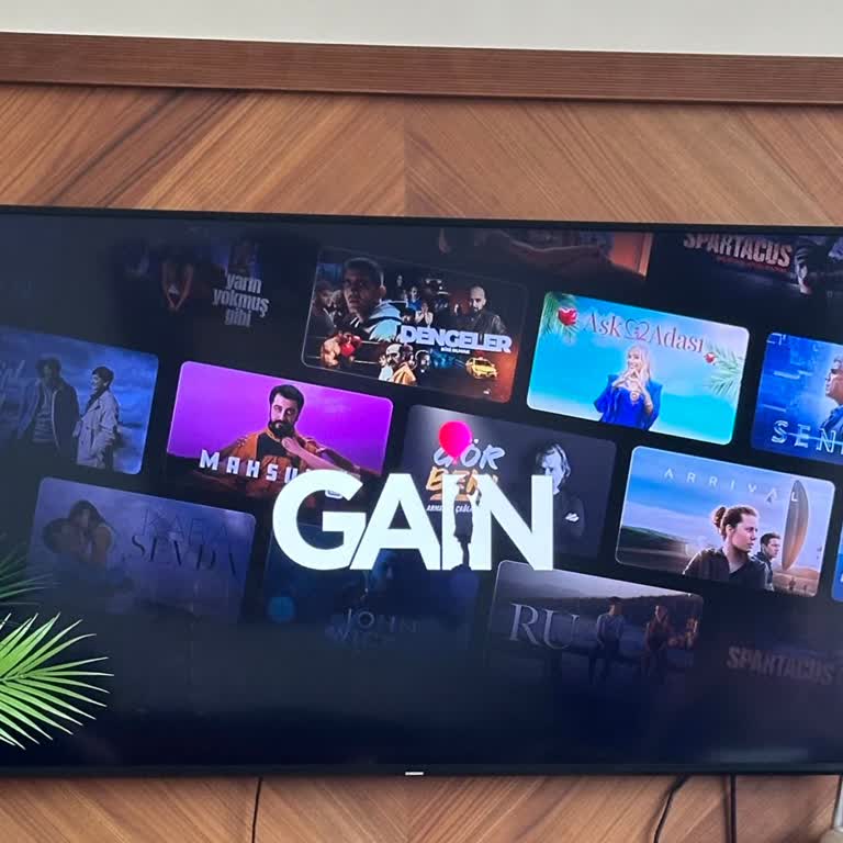 Samsung TV'de Gain Uygulaması Açılmıyor, Teknik Destek Bekliyorum