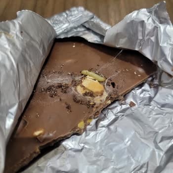 Nestle Aldığım Çikolatadan Canlı Kurt Çıkması Nedeniyle Yaşadığım Mağduriyet