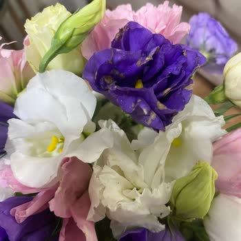 Sipariş Edilen Çiçek Soluk Ve Özensiz, Çözüm Olarak Sadece Kupon Verildi