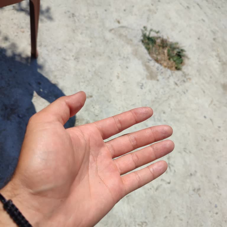 Kargo Adrese Gelmeden Ulaşılamadı Denilerek Geri Gönderildi