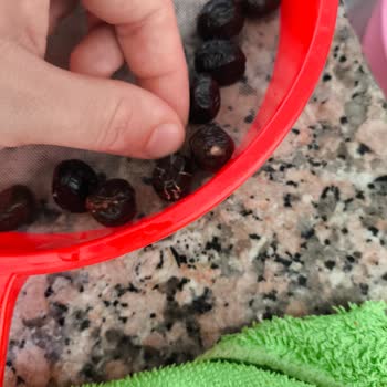 Aldığım Siyah Zeytin Küflü Çıktı Mağaza İade Talebimi Reddetti