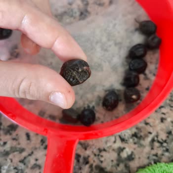 Aldığım Siyah Zeytin Küflü Çıktı Mağaza İade Talebimi Reddetti
