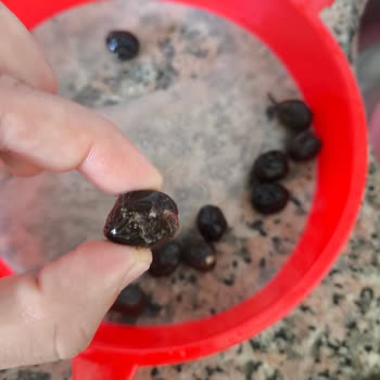 Aldığım Siyah Zeytin Küflü Çıktı Mağaza İade Talebimi Reddetti