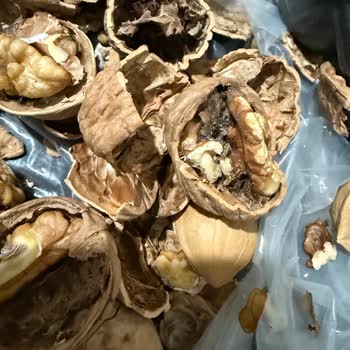 Aldığım Cevizler Güvelenmiş Ve Çürük Çıktı, Destek Talebime Dönüş Yapılmadı