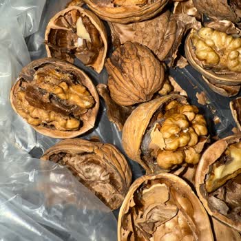 Aldığım Cevizler Güvelenmiş Ve Çürük Çıktı, Destek Talebime Dönüş Yapılmadı