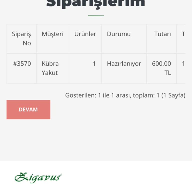 Zigavus Siparişim Günlerdir Hazırlanıyor Müşteri Hizmetlerine Ulaşamıyorum