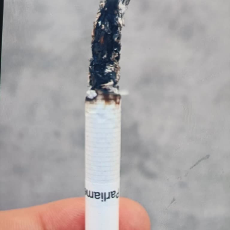 Parliament Night Blue'da Tütün Kalitesi Alarmı