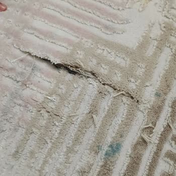 Yıkama Sonrası Halımda Oluşan Kesik İçin Çözüm Bulunmadı