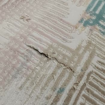 Yıkama Sonrası Halımda Oluşan Kesik İçin Çözüm Bulunmadı