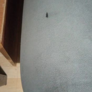 Koltuk Takımında Sürekli Sorunlar Ve Mağazadan Destek Alamama