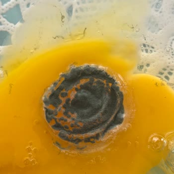 Aldığım Yumurtadan Küf Çıkması Ve Mağaza İlgisizliği