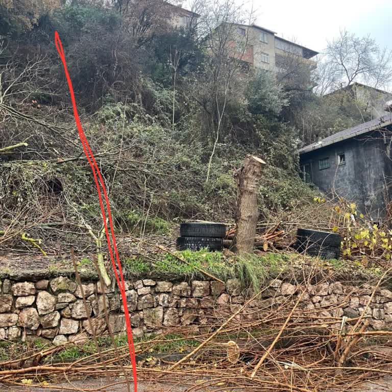 Banka Müdürü Ve Eşi Aracılığıyla Riskli Arsa Satışıyla Maddi Zarara Uğradım