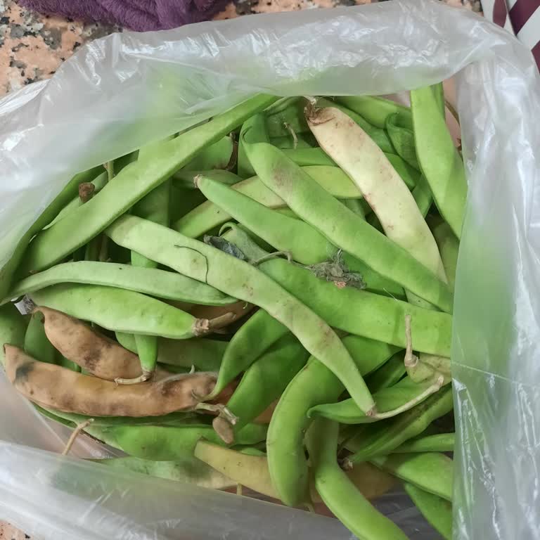 Migros Sanal Market Siparişimde Eksik Ve Bozuk Ürünler, İade Sorunu!