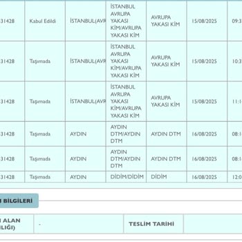 Teslim Edilmeyen Mutfak Robotu Nedeniyle Mağduriyet Yaşıyorum