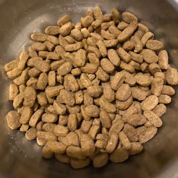 Я купила корм для кошек Pro Plan, но получила подделку и не могу связаться с продавцом