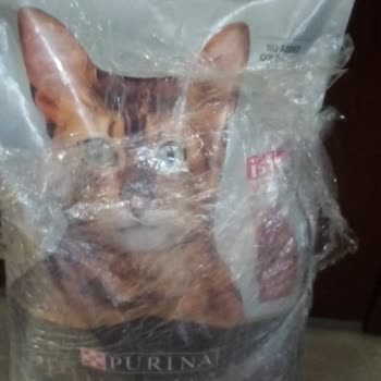 Корм Pro Plan — мой кот не ест корм, опасаюсь подделки