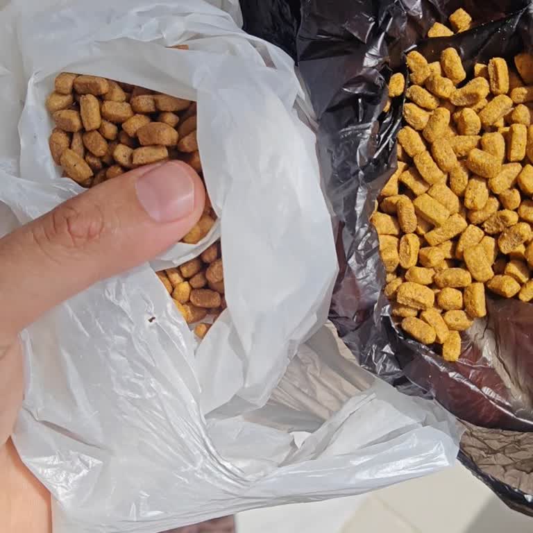 Pro Plan корм для кошек вызвал проблемы со здоровьем у моего питомца