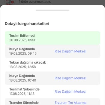 Teslim Edilmeyen Kargo İçin Ücret İadesi Sorunu Ve Yanıltıcı Takip Bilgisi