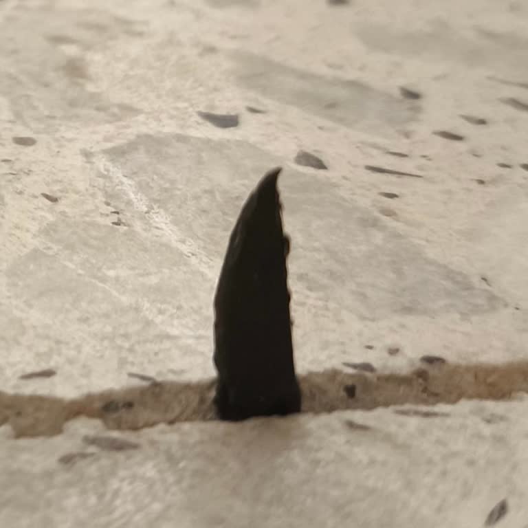 Ispanaklı Börekten Çıkan Plastik Parça Çocuğumun Hayatını Tehlikeye Attı